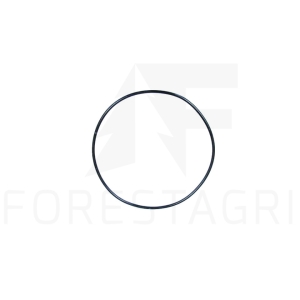 O-Ring - F070369