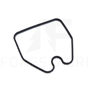 Thermostatgehäusedichtung - R136063