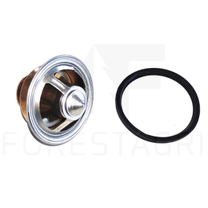 Thermostat – RE538289, RE528652