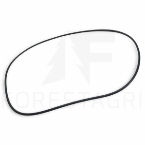 O-Ring – F003308