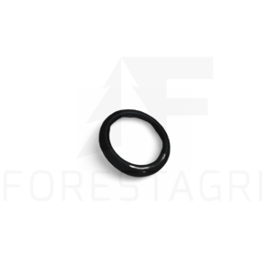 O-Ring - F004573