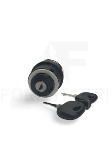 Zündschalter - F005316