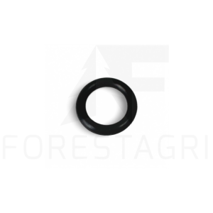 O-Ring- F010686