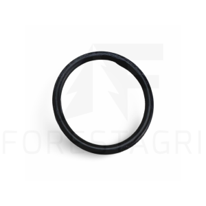 O-Ring – F011429 (Ersatzteil)