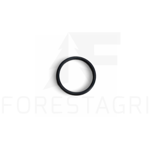 O-Ring - F021609