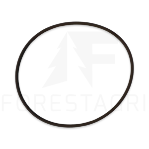 O-Ring – F022637 (Ersatzteil)