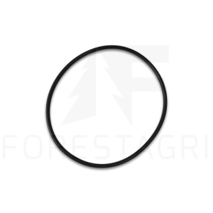 O-Ring – F025162 (ersatz)