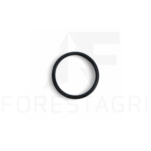 O-Ring- F025320