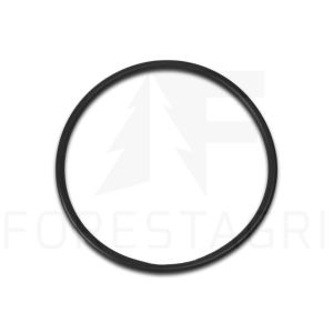 O-Ring – F025375 (Ersatzteil)