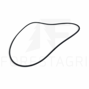 O-Ring - F032909