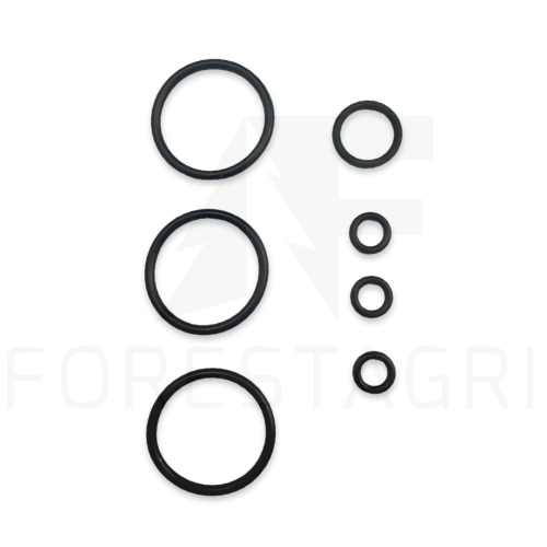 Zestaw uszczelnień, Sandariklių rinkinys, Sada těsnění, Dichtungssatz, Seal Kit, F034060