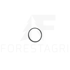 Ring – F035021