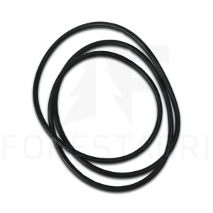 O-Ring - F040418