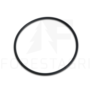 O-Ring - F041721