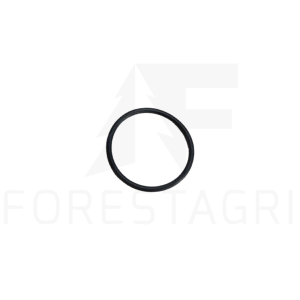 O-Ring - F046505