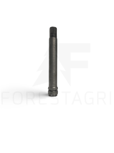 Schlüssel - F046592