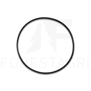 O-Ring– F047703 (ersatz)
