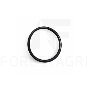 O-Ring – F047913 (Ersatzteil)