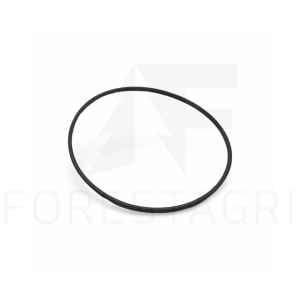 O-Ring - F055389