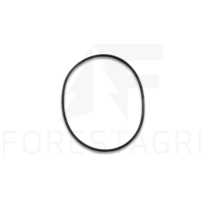 O-Ring - F055390