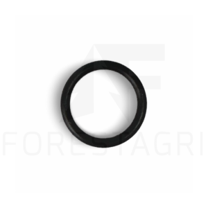O-Ring - F057275