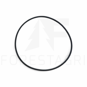 O-Ring - F058064