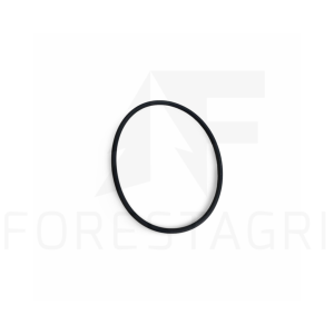 O-Ring - F061067