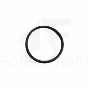 O-Ring - F061271