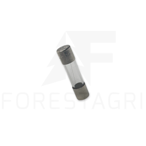 Sicherung - F066389