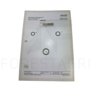 Dichtungssatz - F067129