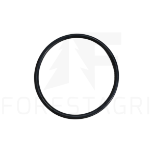 O-Ring - F067370