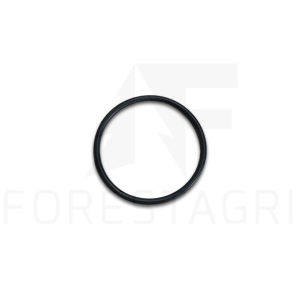 O-Ring - F067370