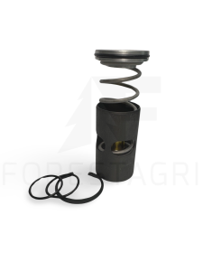 Thermostat - F069858