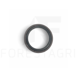 O-Ring - F072160