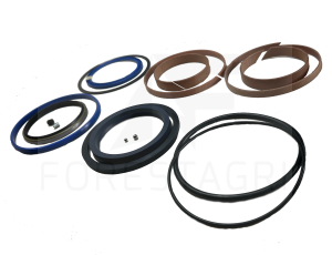 Dichtungssatz - F073910
