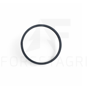 Ring - R204520