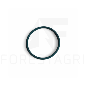 O-Ring - R519989 (Ersatzteil)