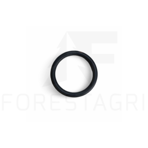 O-Ring - R61871