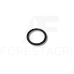 O-Ring - F034190