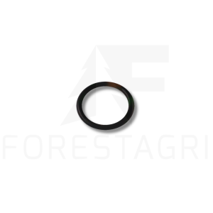 O-Ring - F034190