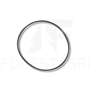 O-Ring- F056056