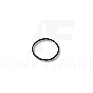 O-Ring - F059237