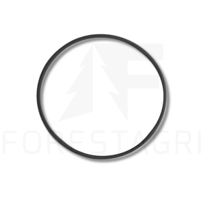 O-Ring – F003229
