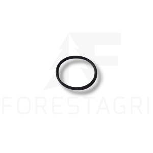 O-Ring - F004565