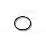 O-Ring - F005501