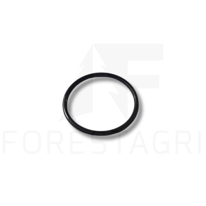 O-Ring - F005501