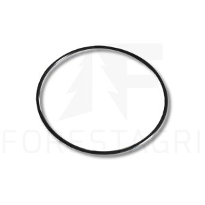 O-Ring – F007622, T66421 (Ersatz)