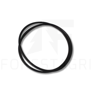 O-Ring – F013736