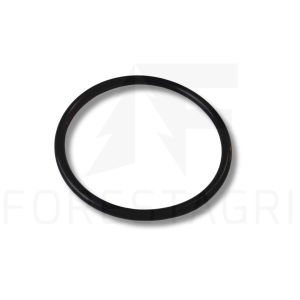 O-Ring - F015974 (Ersatzteil)