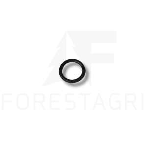 O-Ring - F017216